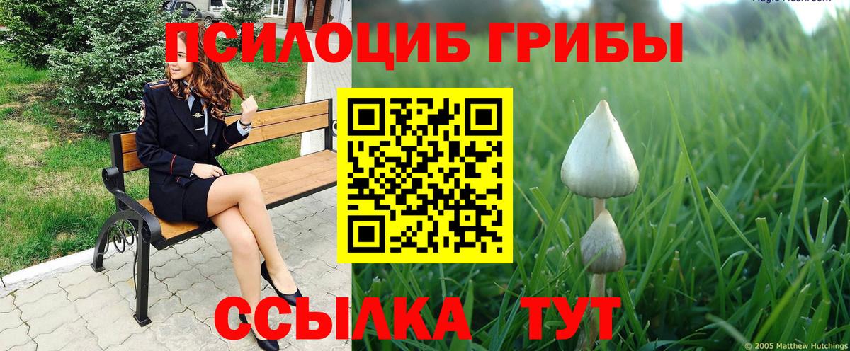 Галлюциногенные грибы Psilocybine cubensis Усть-Илимск