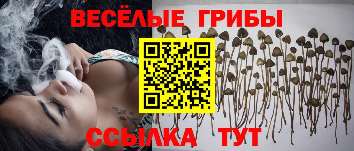 Галлюциногенные грибы Psilocybe  Галлюциногенные грибы Psilocybine cubensis  магазин продажи наркотиков  Вход с VPN  Усть-Илимск 